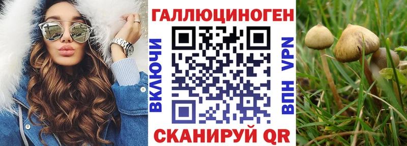 Купить  Курильск  Псилоцибиновые грибы MAGIC MUSHROOMS 